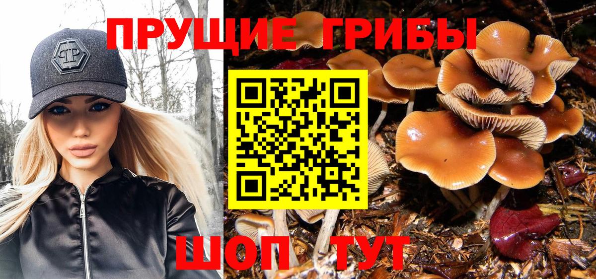 Галлюциногенные грибы ЛСД  Псилоцибиновые грибы Cubensis  Вход с VPN  Донецк 